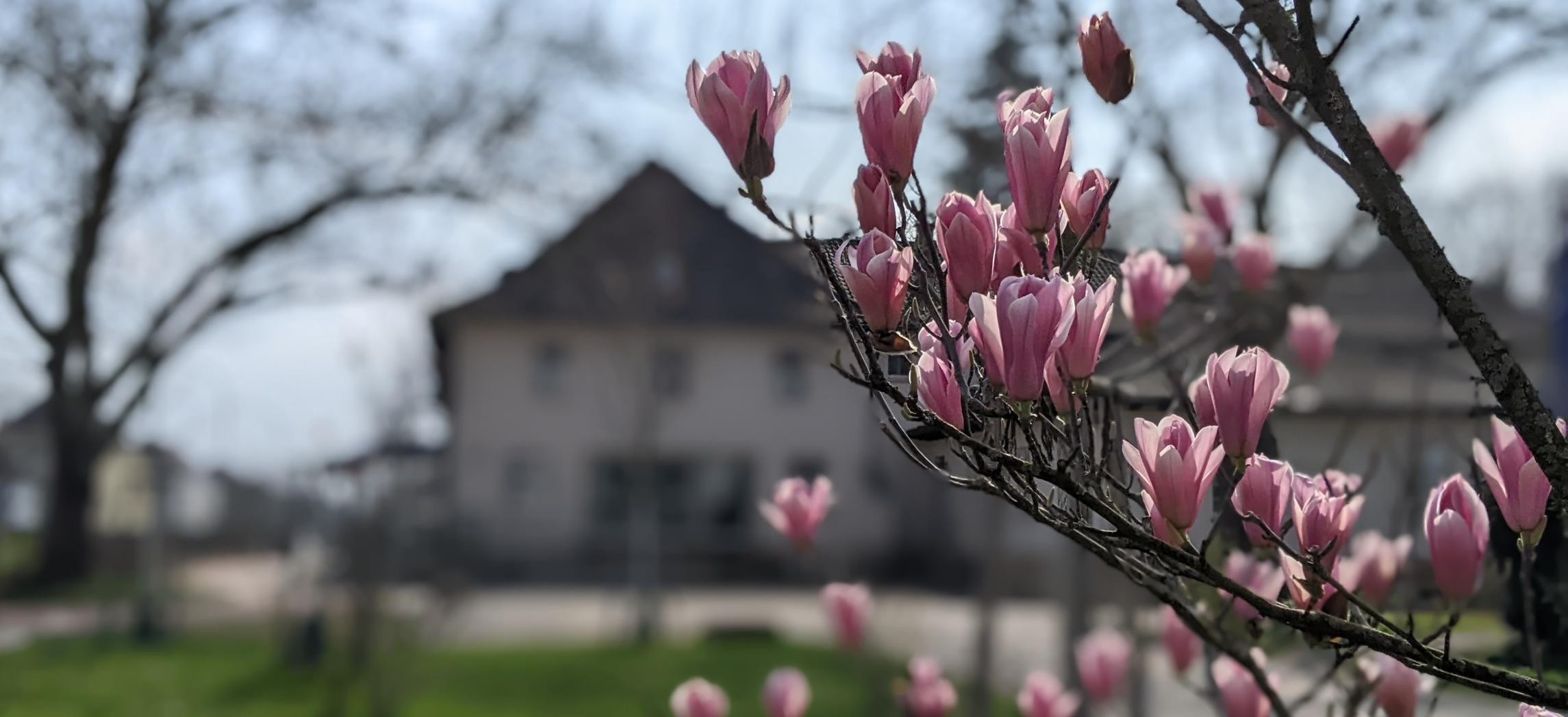 Frühling beim Mark Twain Center